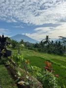 Sarwhe Nadi Homestay