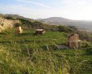 Top Żebbuġ