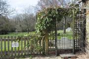 Top Wadhurst