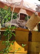 Top Kleines Wiesental