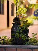 Top Tuxtla Gutiérrez