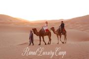 Rimal Luxury Camp