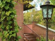 Top Assisi Top Assisi