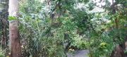 Top Bitung