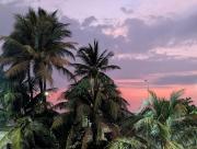 Ocean Breeze Retreat Coastal Getaway in Colombo