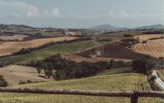 Top Mogliano