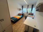 Top Koper