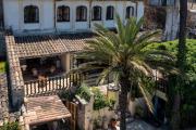 Top Sineu