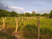 Top Arjona Top Arjona