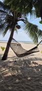 Top Alleppey