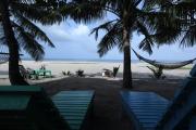 Top Alleppey