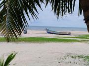 Top Alleppey