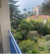 Top Cannes Top Cannes