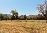 Top Sawāi Mādhopur