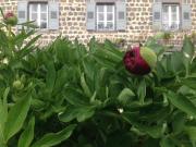 Les Jardins dAnna - Chambres dhôtes