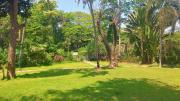 Top Dona Paula