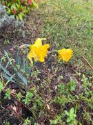 Top Mauzac-et-Grand-Castang