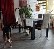 Top Château-du-Loir