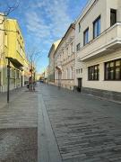 Large studio in city center with nice wooden floor