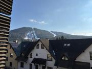 Top Harrachov
