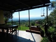 Bushwhacked Barberton