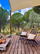 Beautiful country home immersed in pine nut farm