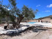 Top Hondón de las Nieves