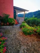 Top Calice al Cornoviglio Top Calice al Cornoviglio