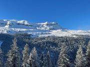 Verseau Flaine Forêt