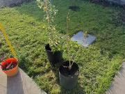 Top Balneario El Condor