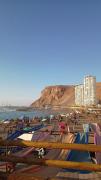 Top Arica