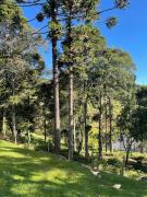 Sítio da Vó Gisela