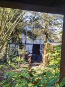 Kastanie im Neandertal