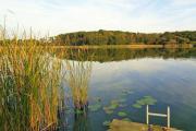 idyllisches Ferienhäuschen am See