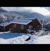 Top Guayacán Top Guayacán