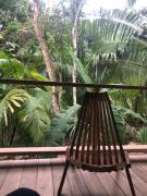 Top Bullet Tree Falls