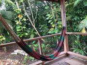 Top Bullet Tree Falls Top Bullet Tree Falls