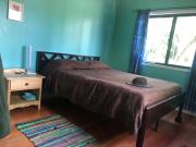 Top Bullet Tree Falls Top Bullet Tree Falls