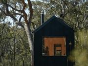 Secluded Forest Cabin with No Reception - Alon