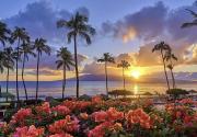 Top Kailua-Kona
