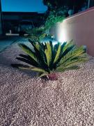 Vila Vinko Vir Vila Vinko Vir