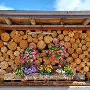 Top Santo Stefano di Cadore