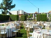Top Scottsdale