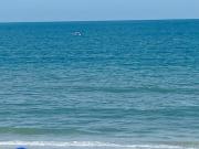 2 bedroom garden city ocean front