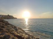 Sol Mediterráneo - Palm Beach 4