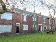 Sunflowers Sunflowers