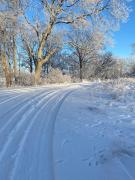 Fairy Lake Retreat! Uniquely Located House with Dock!