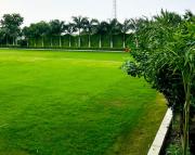 Top Chhabra Top Chhabra