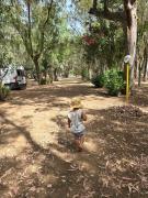 Village Camping Fico DIndia