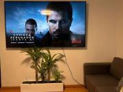 Top Santa Ana Huiloac